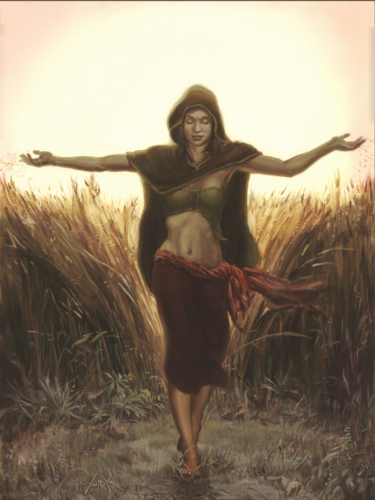 Harvest (As Ye Sow...) by Yurik